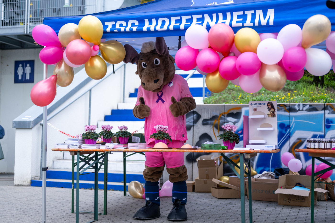 Breast Cancer - gemeinsam gegen Brustkrebs; TSG Hoffenheim und GRN Brustzentrum Sinsheim